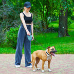 WAUDOG Nylon Dog Leash - Blue