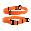 EVOLUTOR Adjustable Dog Collar - Orange