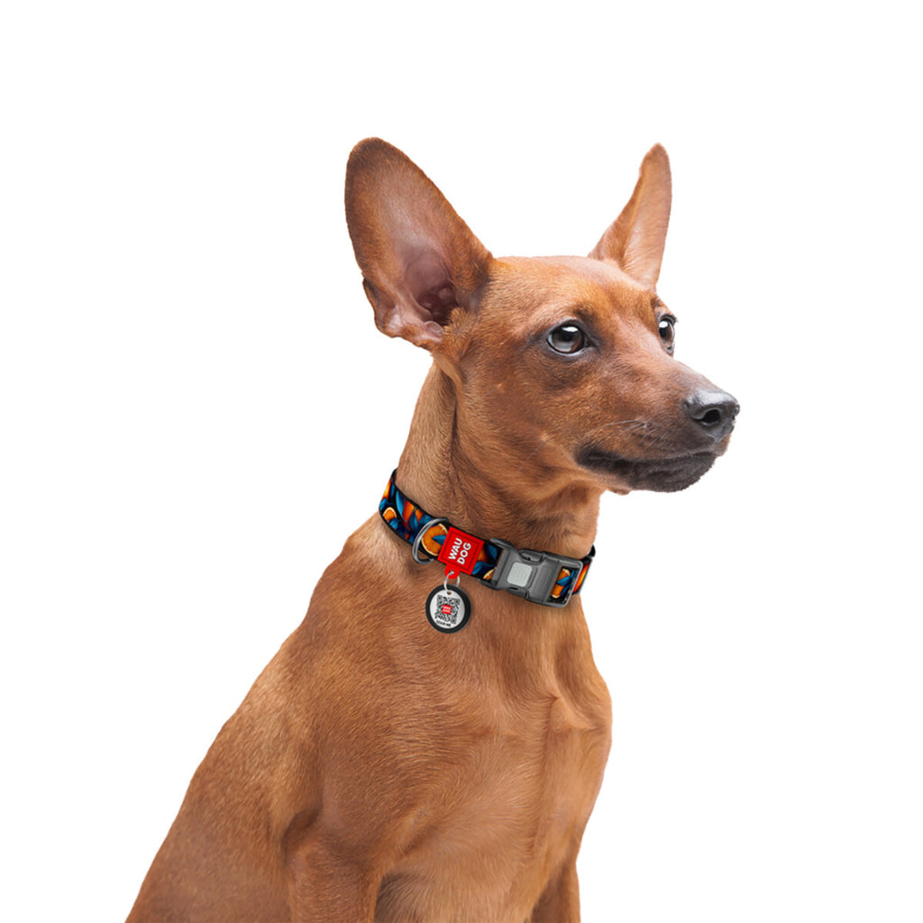 WAUDOG Nylon Dog Collar with QR Passport - Oranges