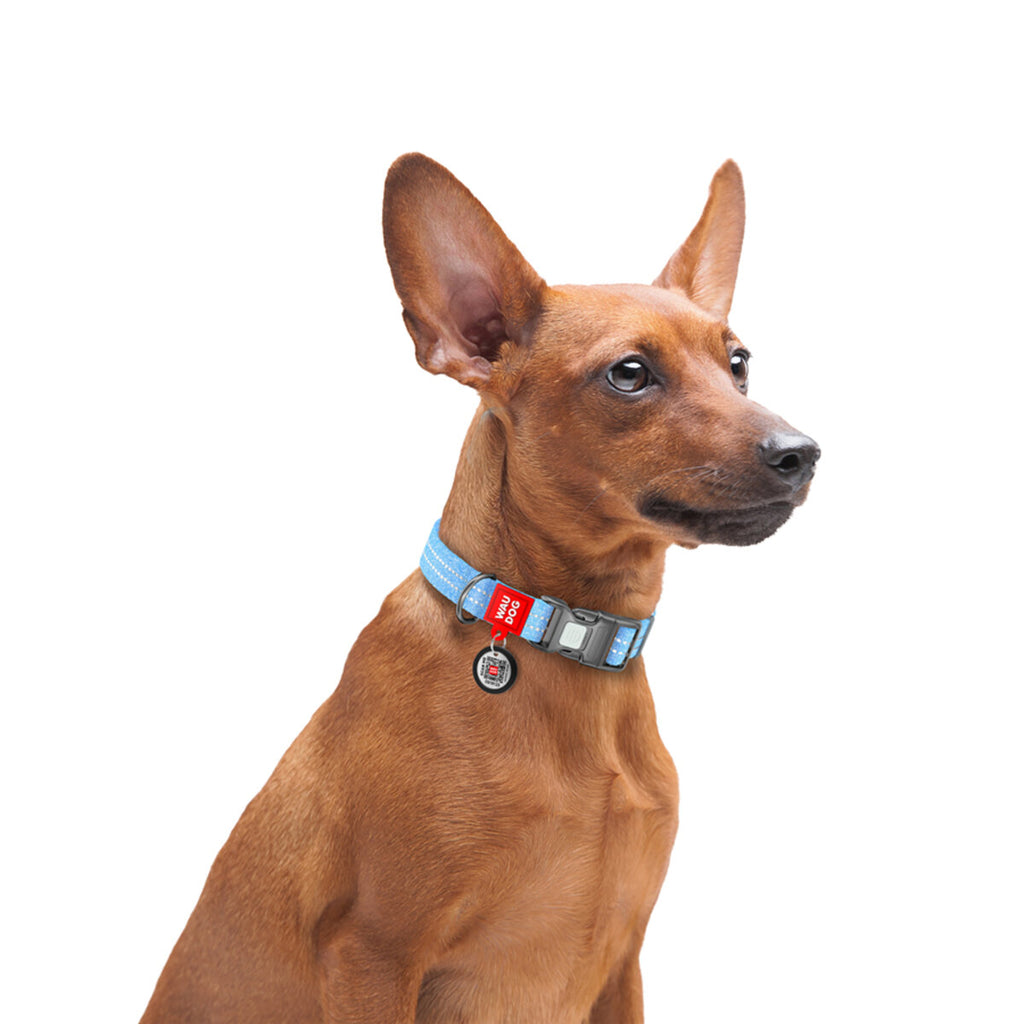 WAUDOG Re-cotton Reflective Dog Collar with QR Passport - Blue