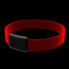 WAUDOG LED Light Up Dog Collar - RGB