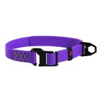 EVOLUTOR Adjustable Dog Collar - Purple