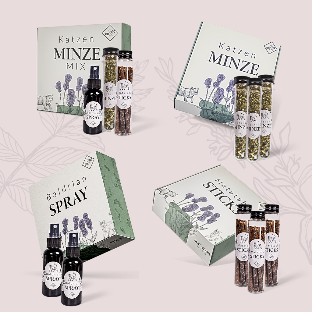 Juego de regalo de bienestar para gatos – Hierba gatera, spray de valeriana y palitos de matatabi