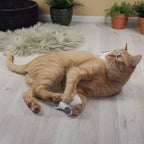 Juguetes para gatos con hierba gatera - Set rellenable (3 juguetes + 9 bolsas de hierba gatera)