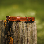 Hundehalsband aus Leder – Braun