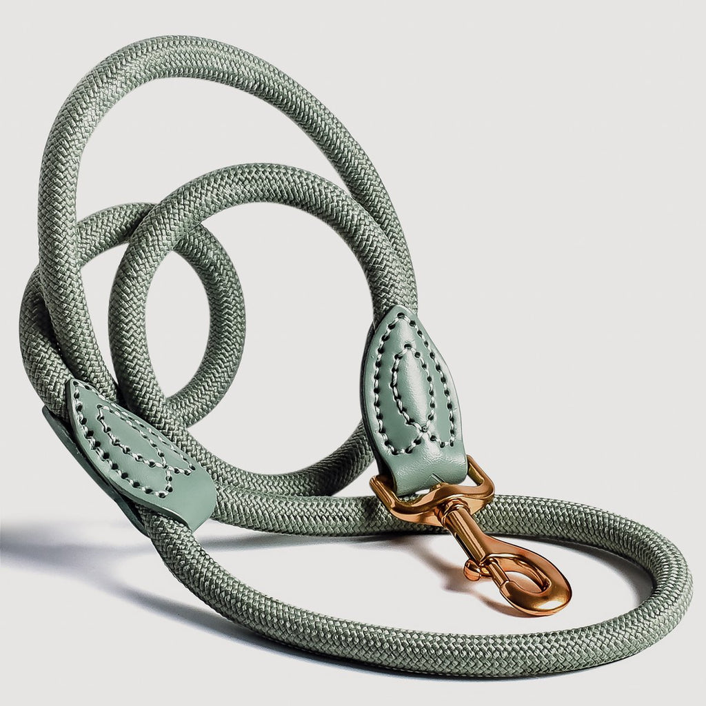 Hundeleine aus Seil (120/170 cm)