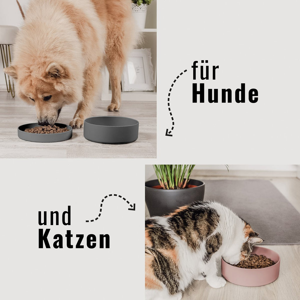 Pet Bowl – Silicone 3-in-1 with Lid