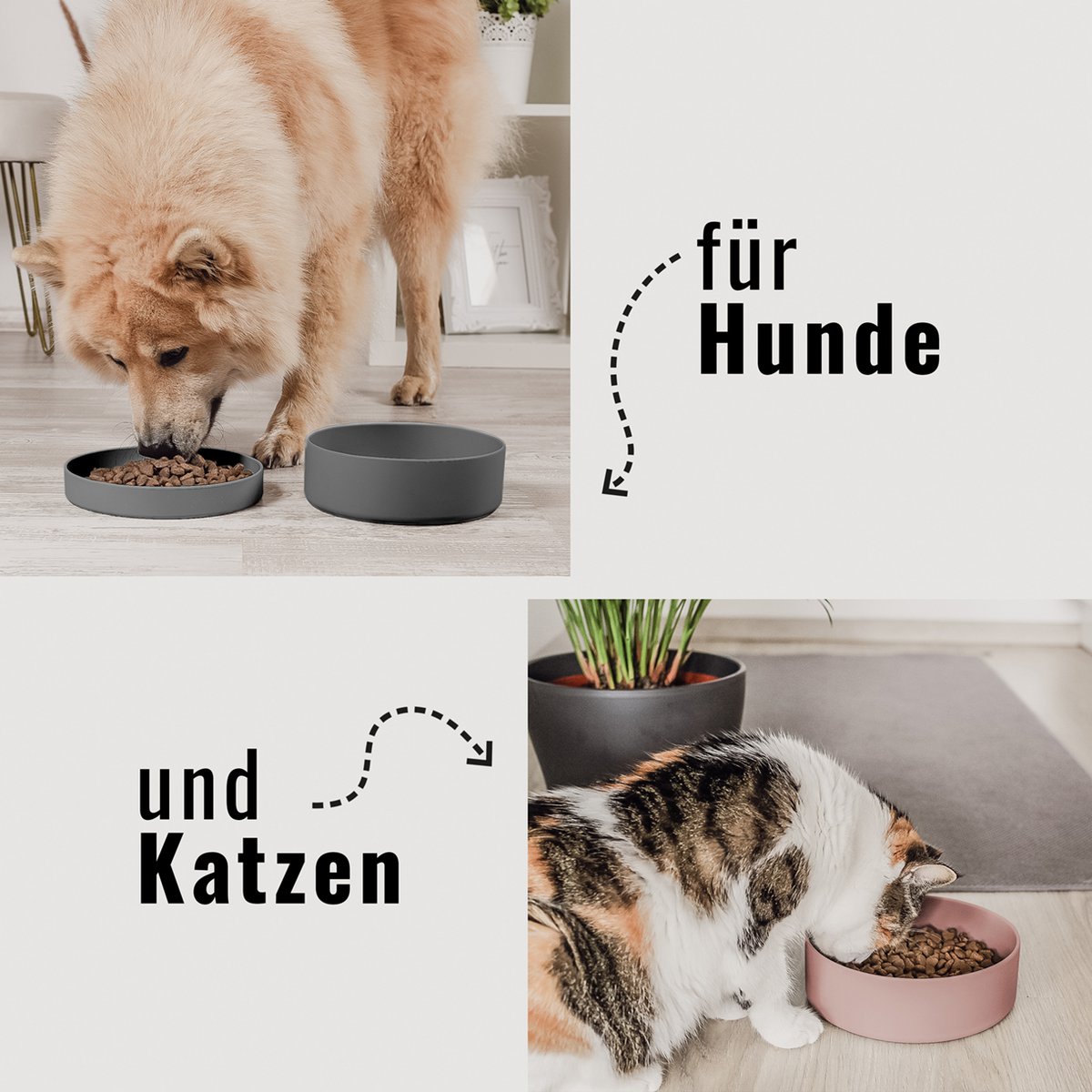 Pet Bowl – Silicone 3-in-1 with Lid