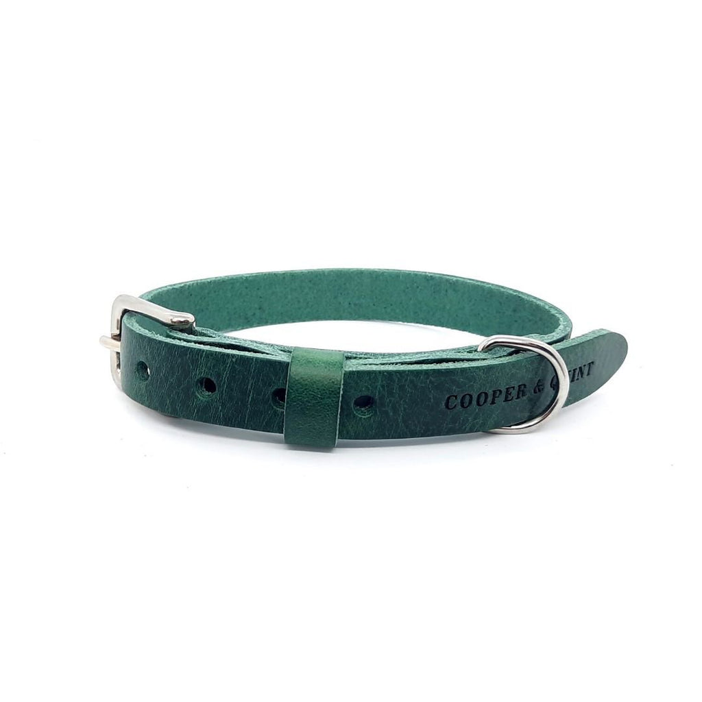 Hundehalsband aus Leder – Grün