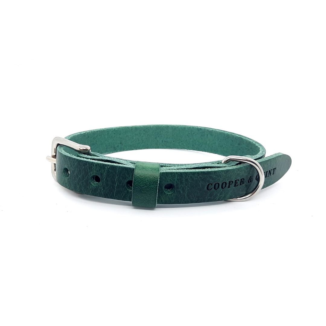 Hundehalsband aus Leder – Grün