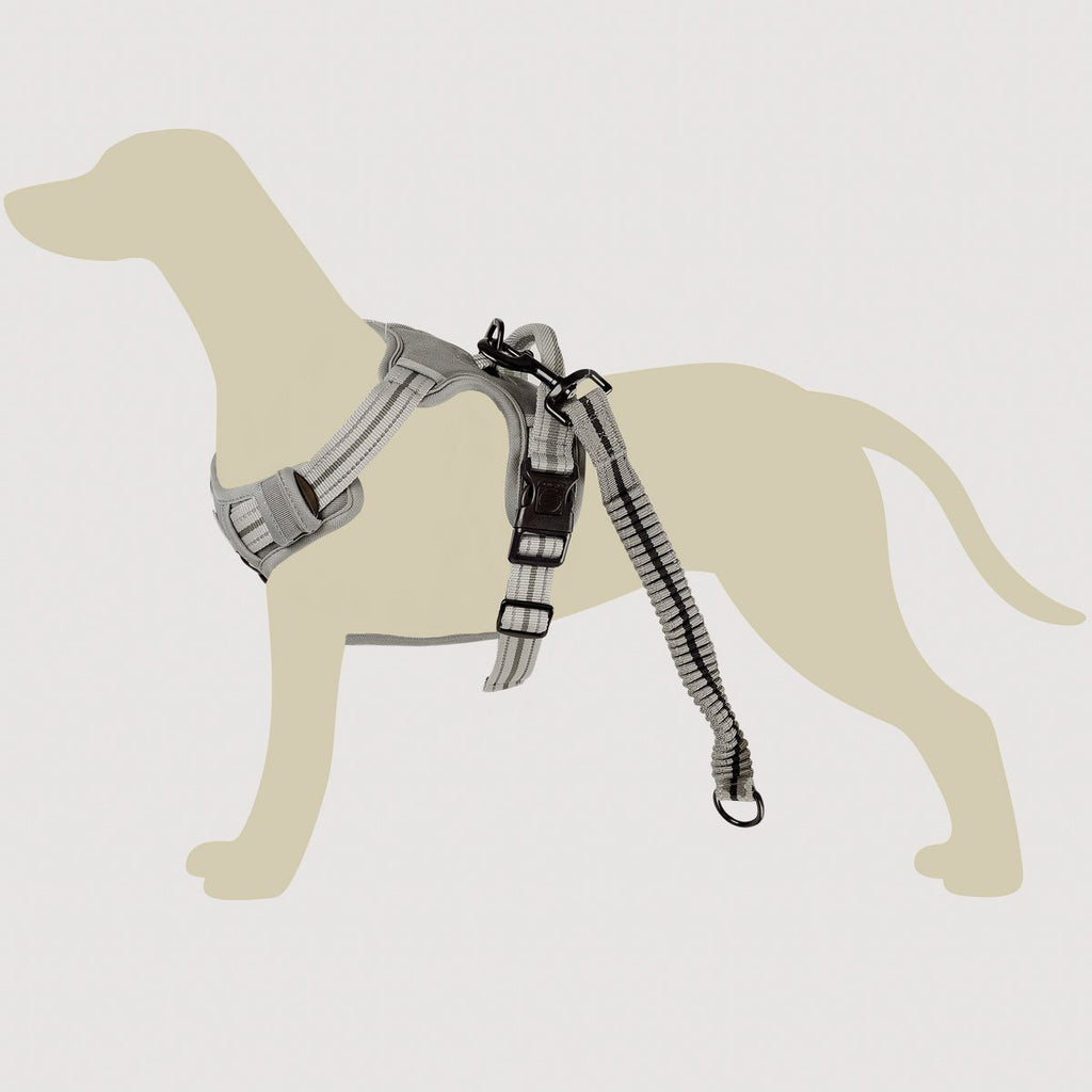 Hundegeschirr – stoßdämpfend