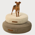 Matratze für Hunde CHARLIE