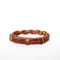 Collar para perro – Trenzado (Marrón)