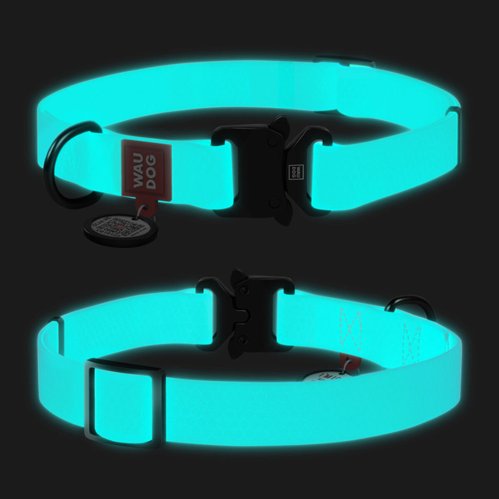 WAUDOG Waterproof Dog Collar with QR Passport - Menthol