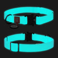 WAUDOG Waterproof Dog Collar with QR Passport - Menthol
