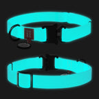 WAUDOG Waterproof Dog Collar with QR Passport - Menthol