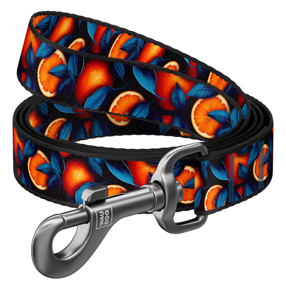 WAUDOG Nylon Dog Leash - Oranges