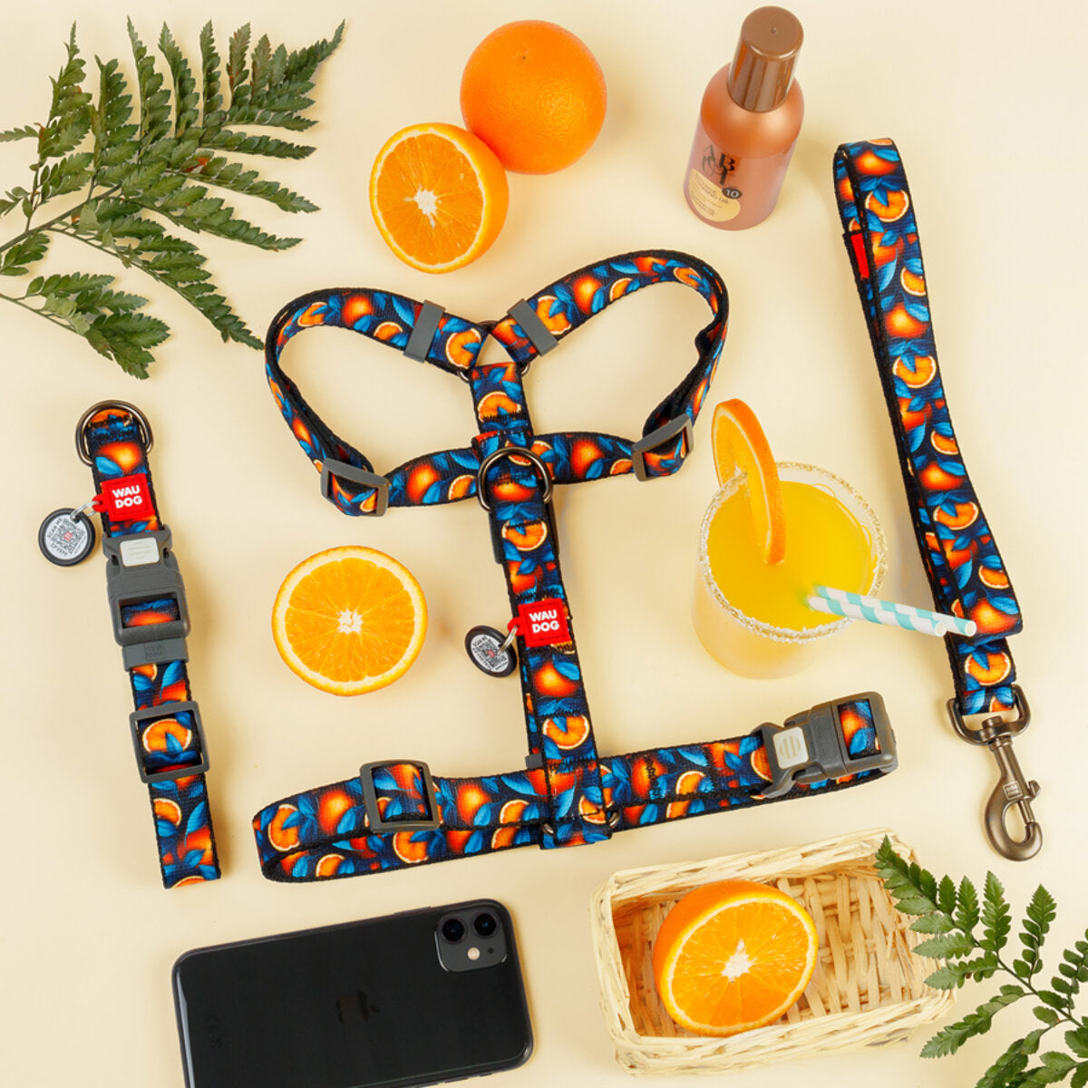 WAUDOG Nylon Dog Collar with QR Passport - Oranges