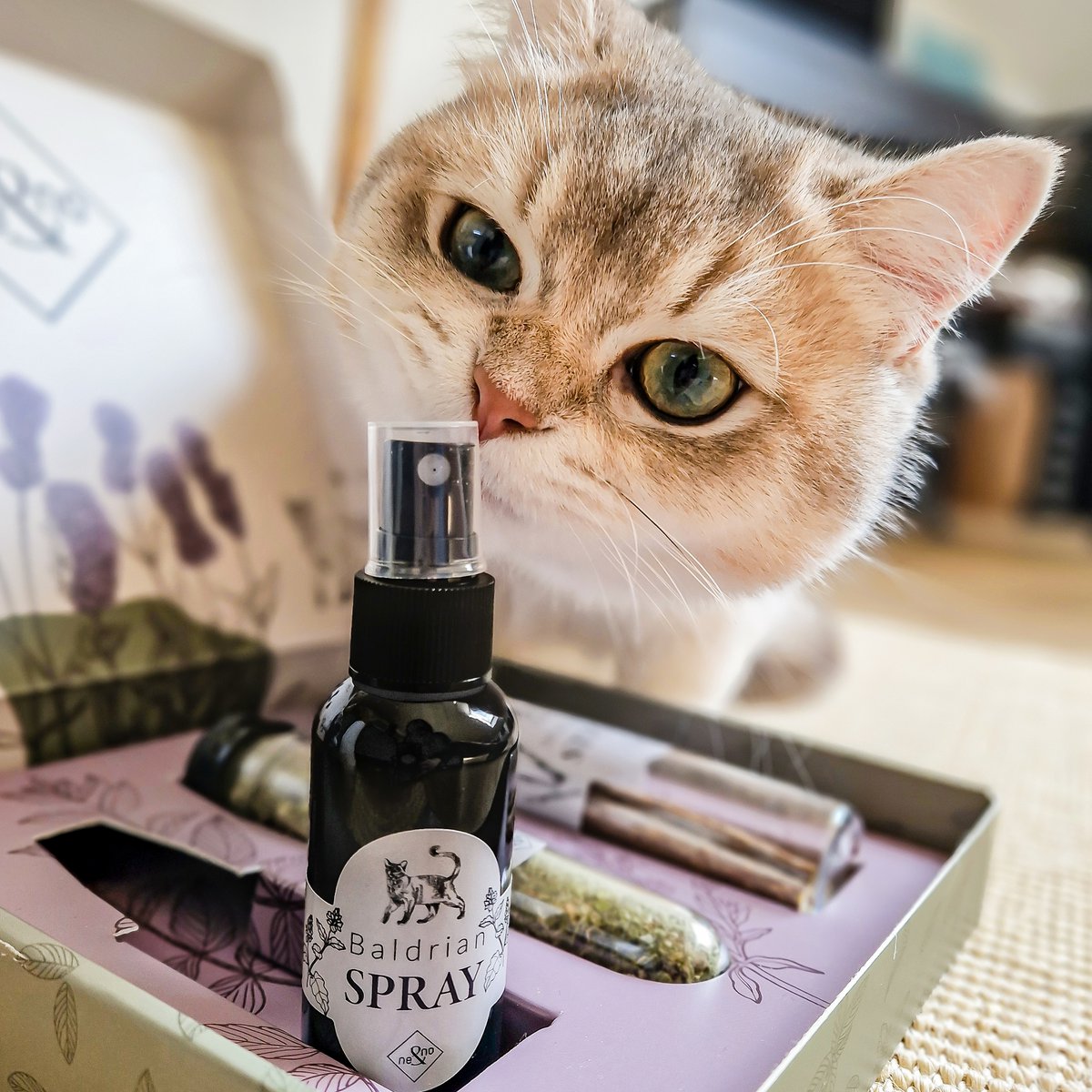 Juego de regalo de bienestar para gatos – Hierba gatera, spray de valeriana y palitos de matatabi