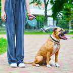 WAUDOG Nylon Dog Leash - Blue