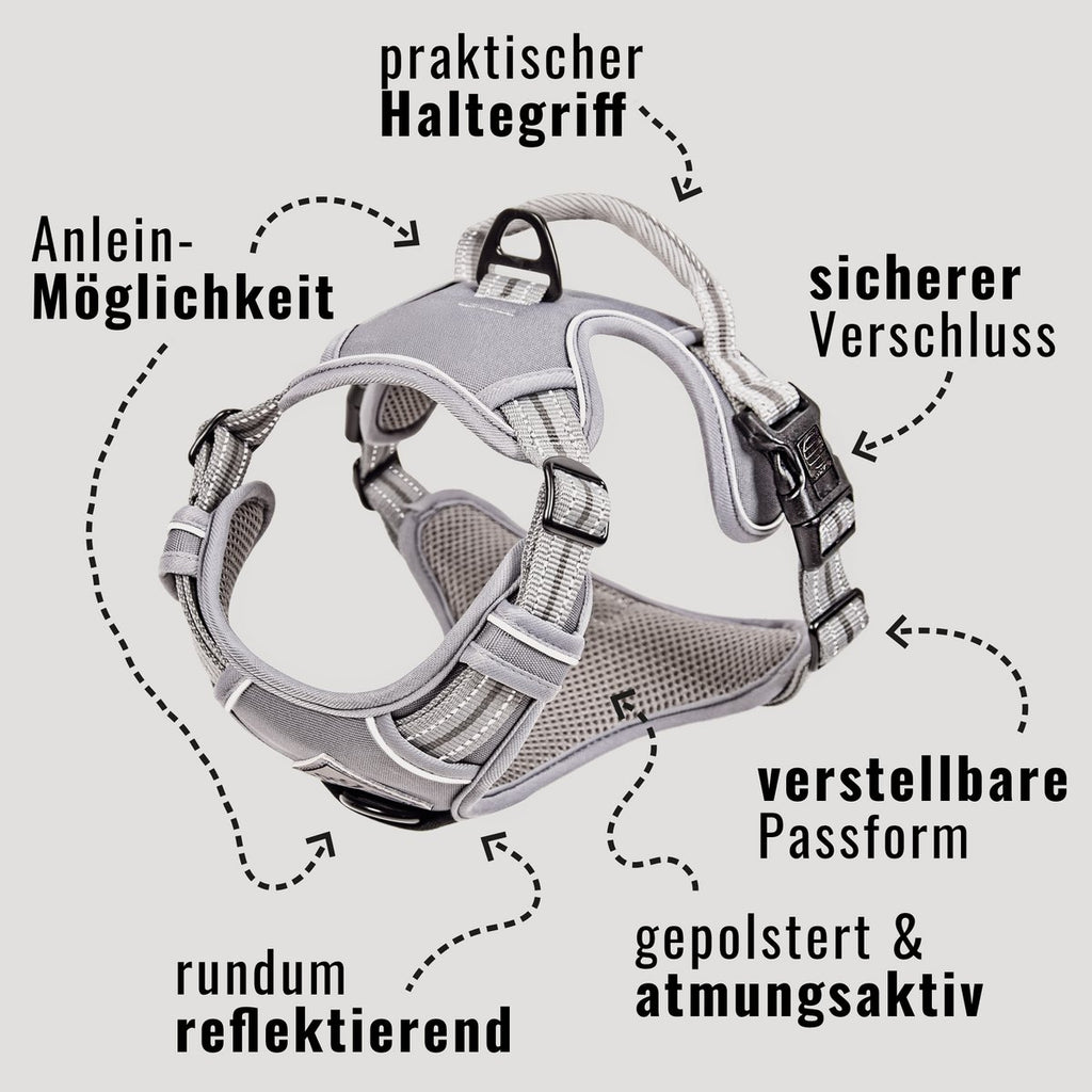 Hundegeschirr – stoßdämpfend