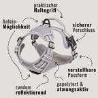 Hundegeschirr – stoßdämpfend