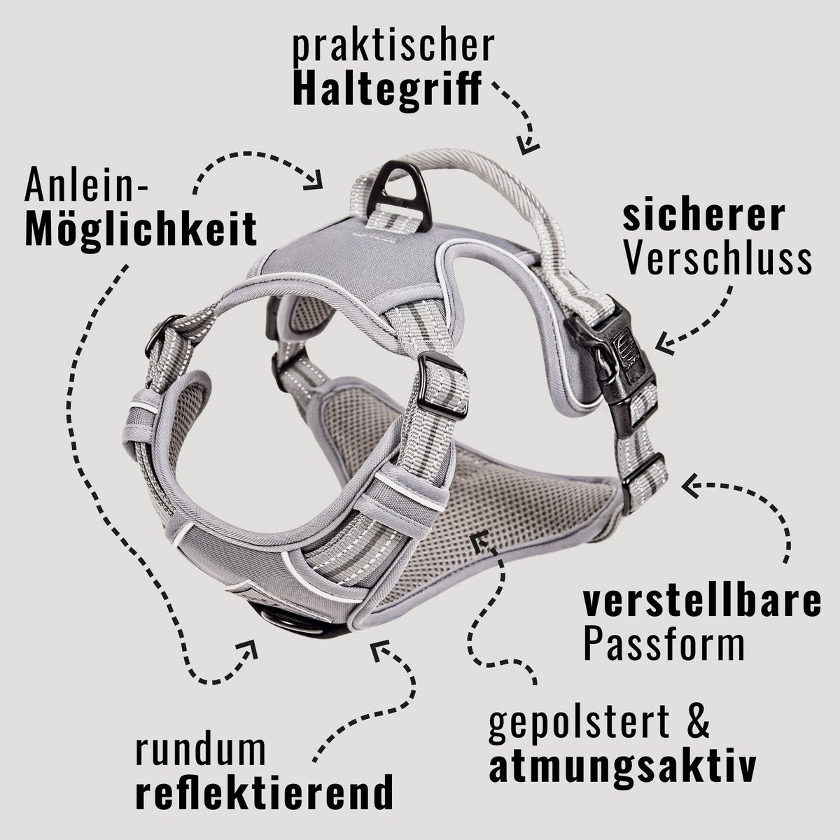 Hundegeschirr – stoßdämpfend