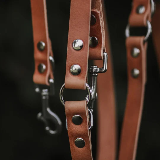 Verstellbare Hundeleine aus Leder – Camel