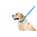 WAUDOG Waterproof Dog Leash - Blue