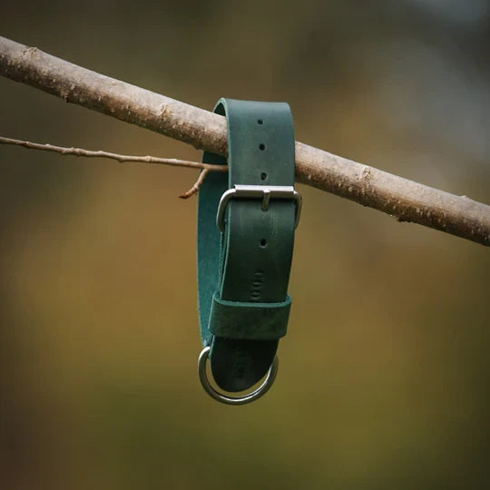 Hundehalsband – Breites Leder (kräftiges Grün)