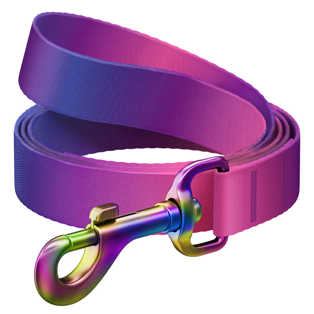 WAUDOG Nylon Dog Leash - Gradient - Purple