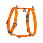WAUDOG Waterproof Dog H-Harness with QR Passport - Orange