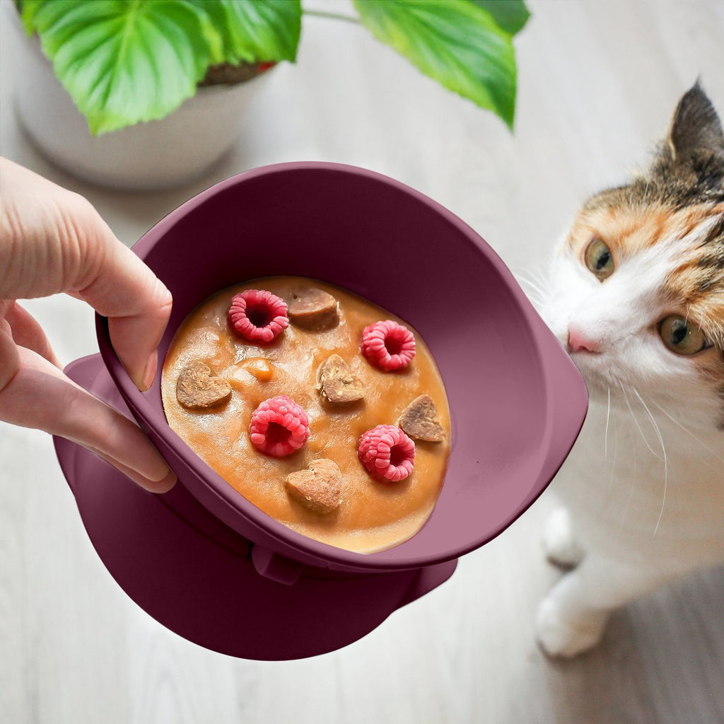 Erhöhter Silikon Katzennapf + mit verstellbarer Neigung