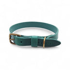 Hundehalsband aus Leder – Grün