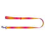 WAUDOG Nylon Dog Leash - Gradient - Orange
