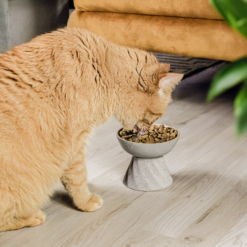 Increased ceramic food bowl for cats in stone optics