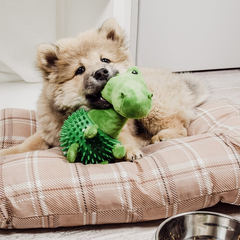 Hundespielzeug Plüsch mit Quietscher & Kauelement – Dinosaurier