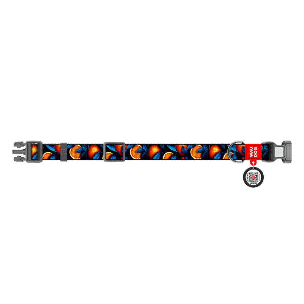 WAUDOG Nylon Dog Collar with QR Passport - Oranges