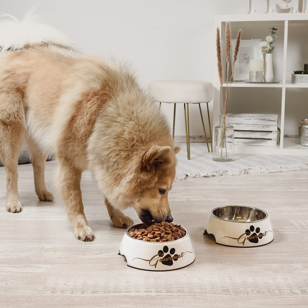 Set de cuencos para mascotas – Diseño gourmet para perros (2 piezas)