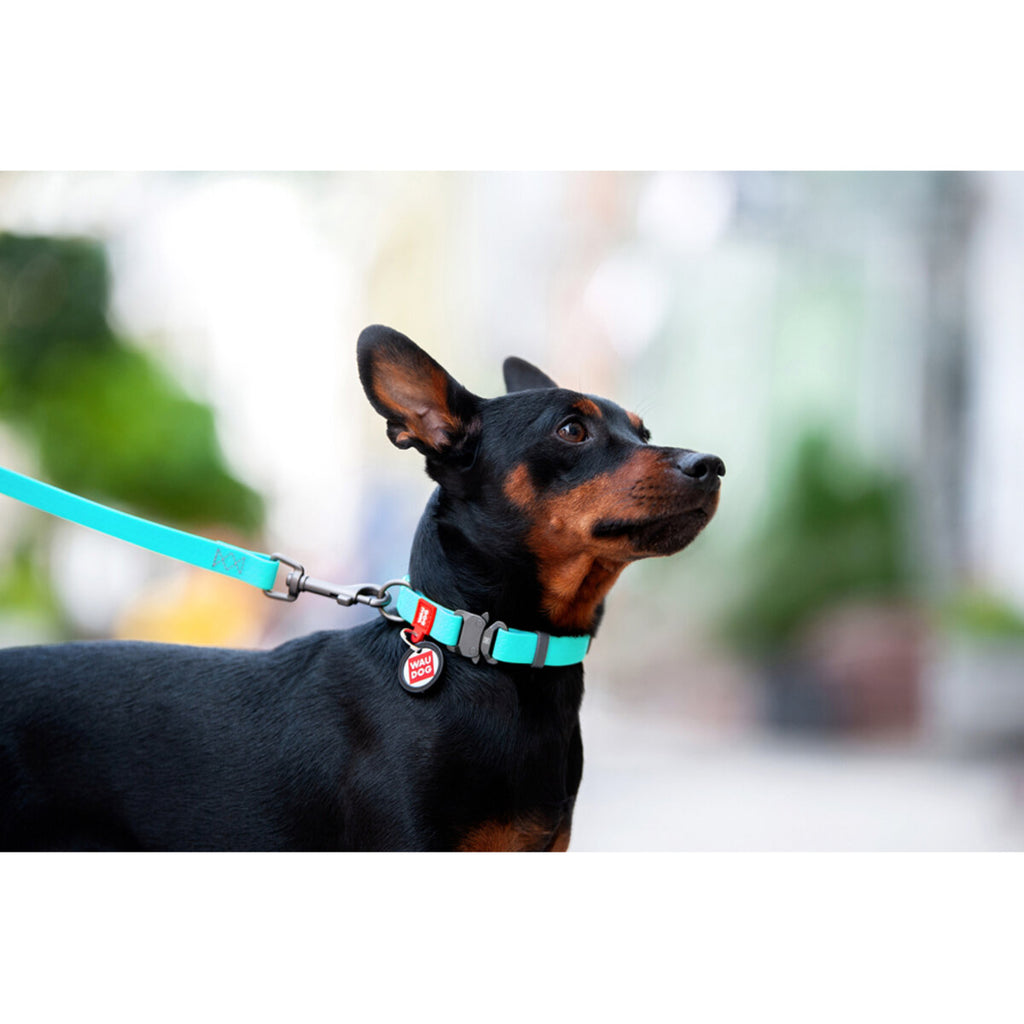 WAUDOG Waterproof Dog Collar with QR Passport - Menthol