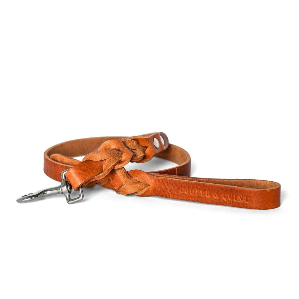 Gedrehte Hundeleine – Farbe Camel