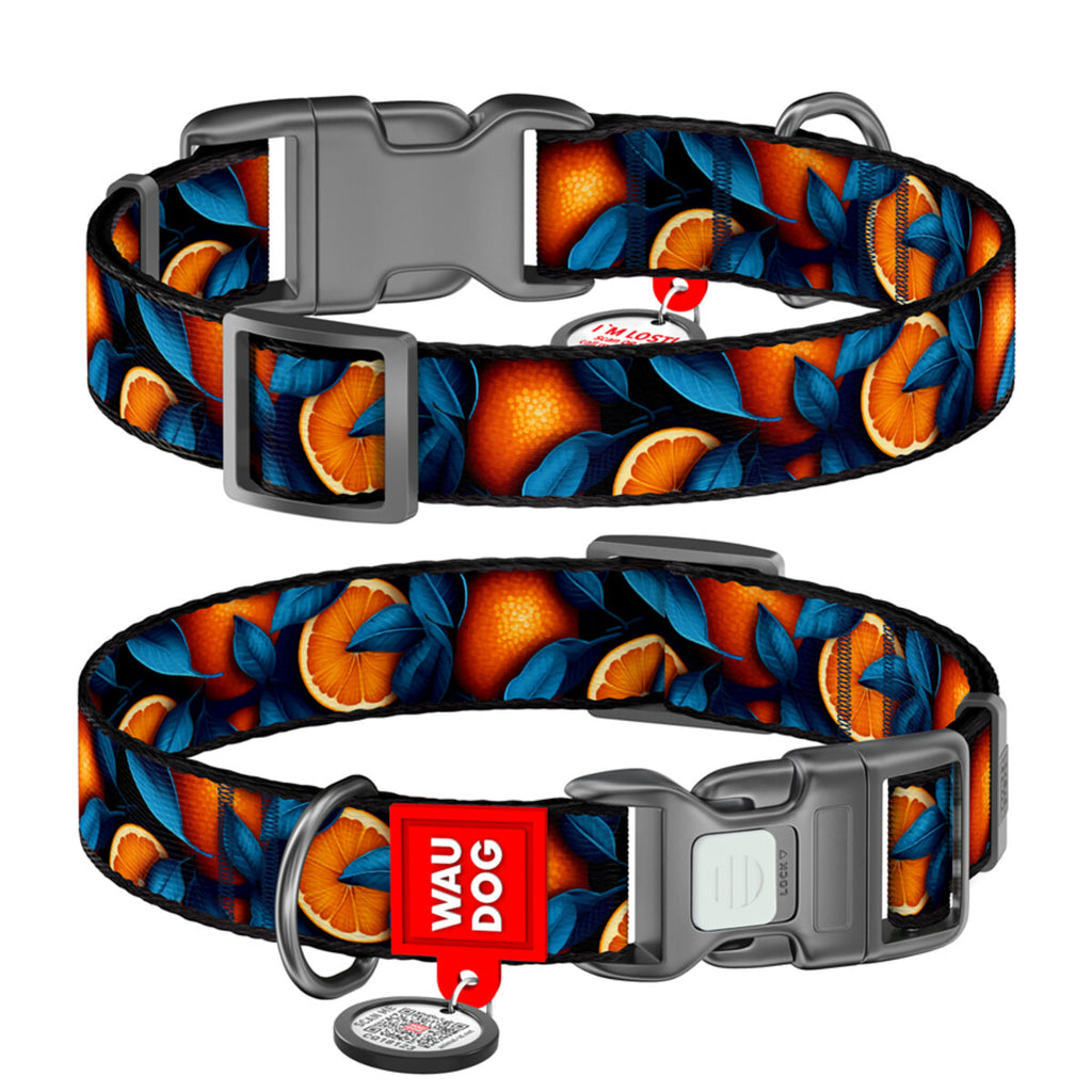 WAUDOG Nylon Dog Collar with QR Passport - Oranges