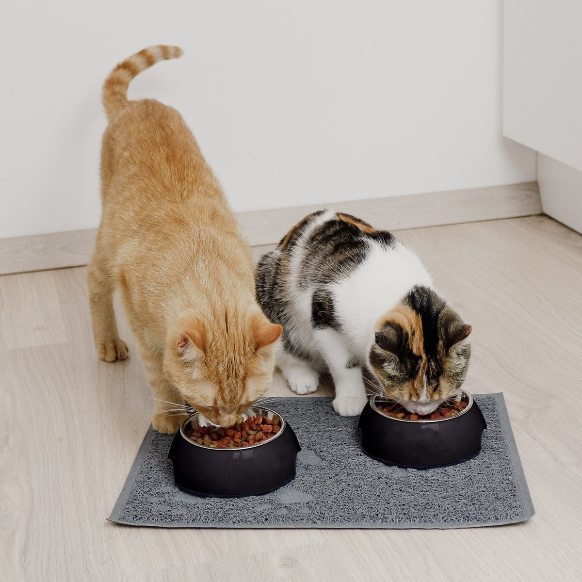 Pet Food Bowls Set – for Dogs & Cats (2 Pieces, Black, Sizes S/M/L)