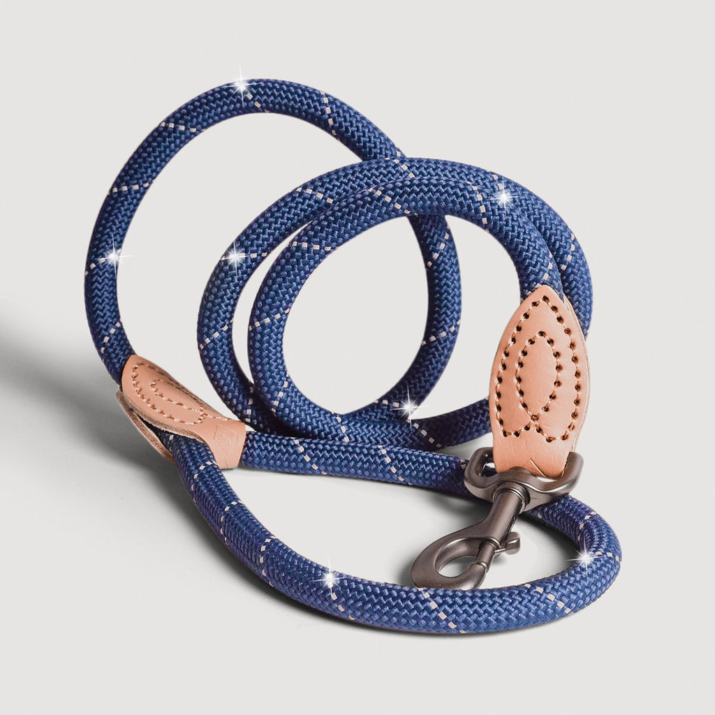 Correa de Cuerda para Perro – Estilo Urbano (120 cm)