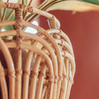 Cesta de almacenamiento de ratán – Cesta para ropa sucia y plantas (3 tamaños)