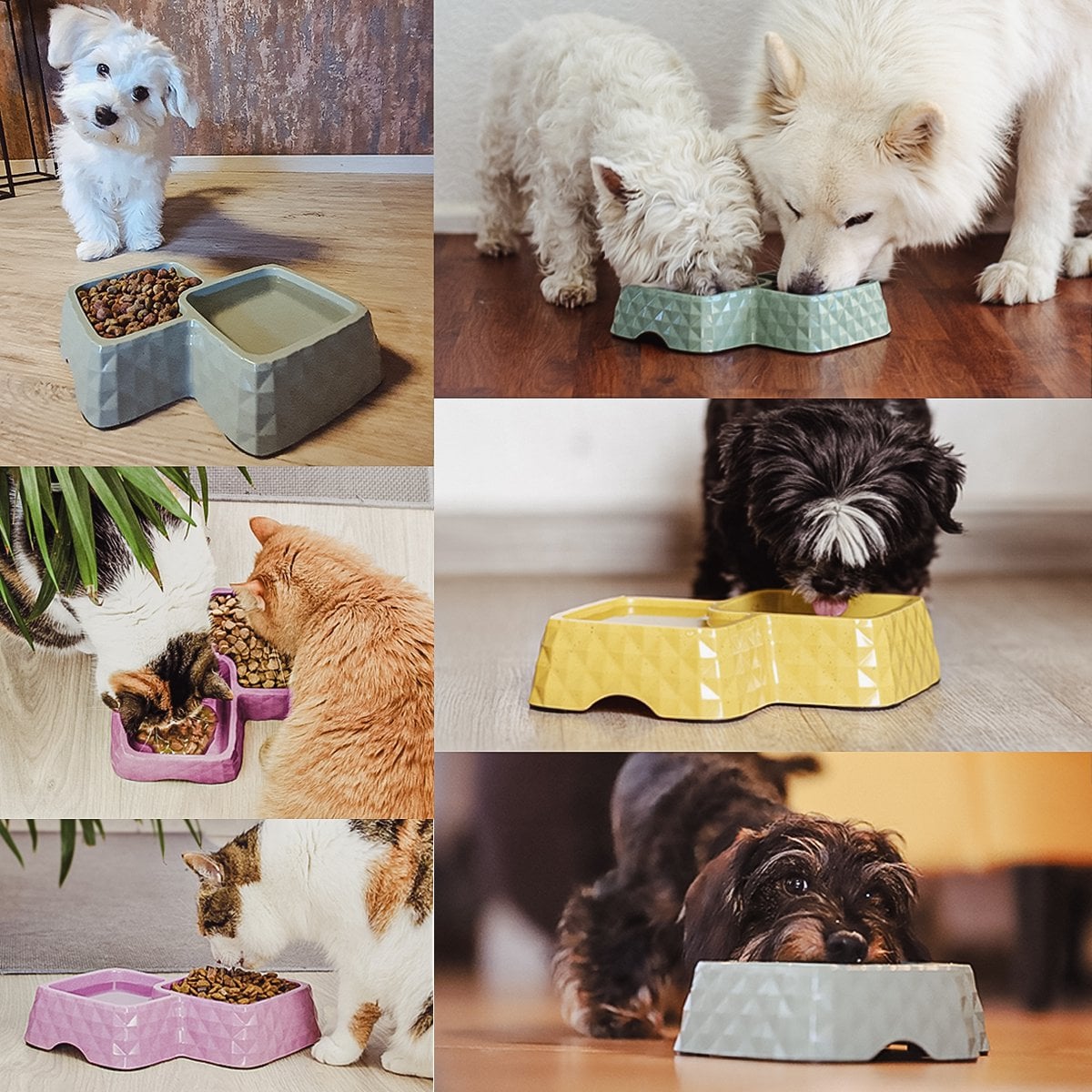 Bamboo Double Bowl for Cats & Small Dogs