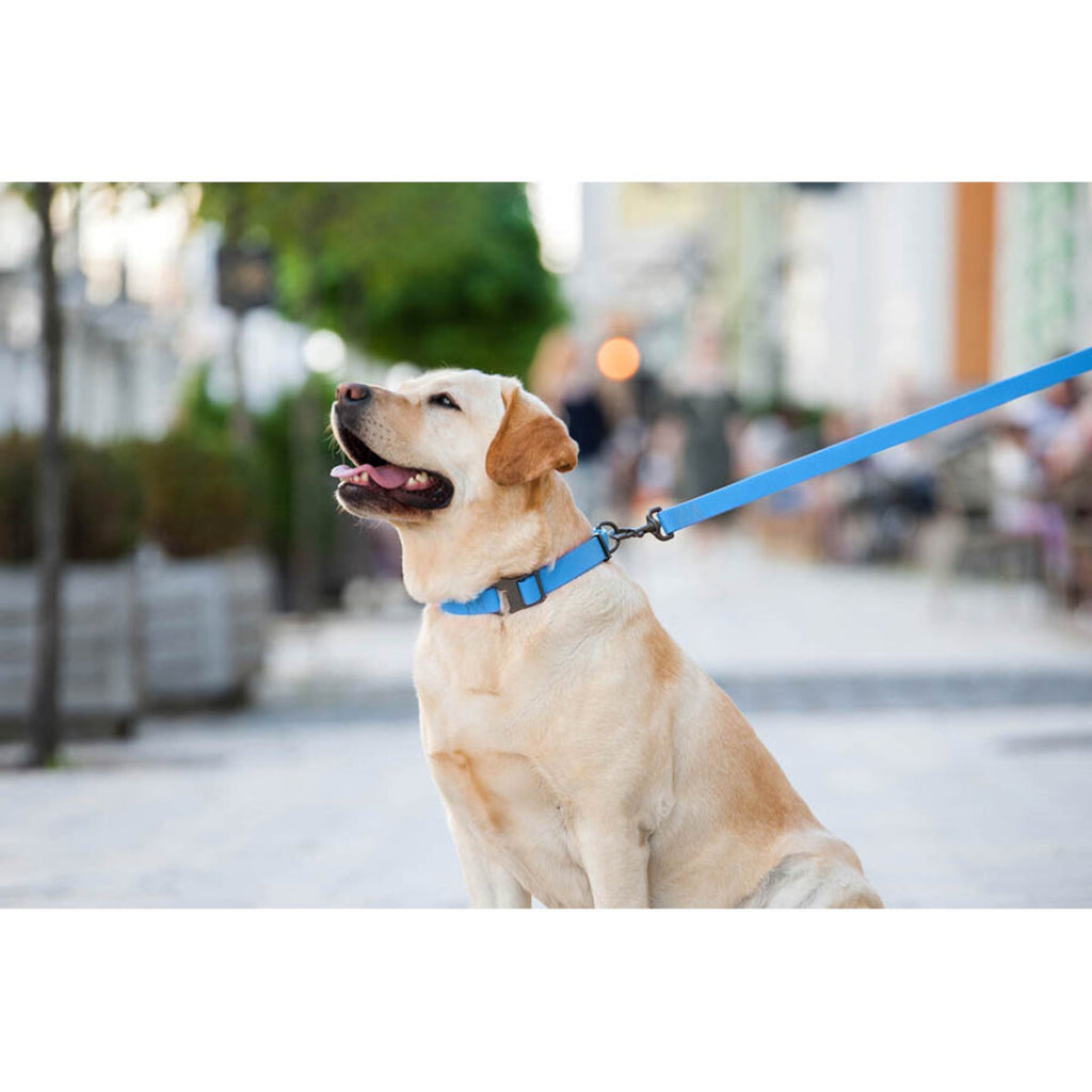 WAUDOG Waterproof Dog Leash - Blue