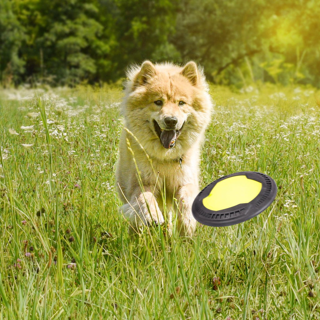 Frisbee para perros – Flotante de larga distancia