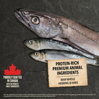 Wild Coast Recipe