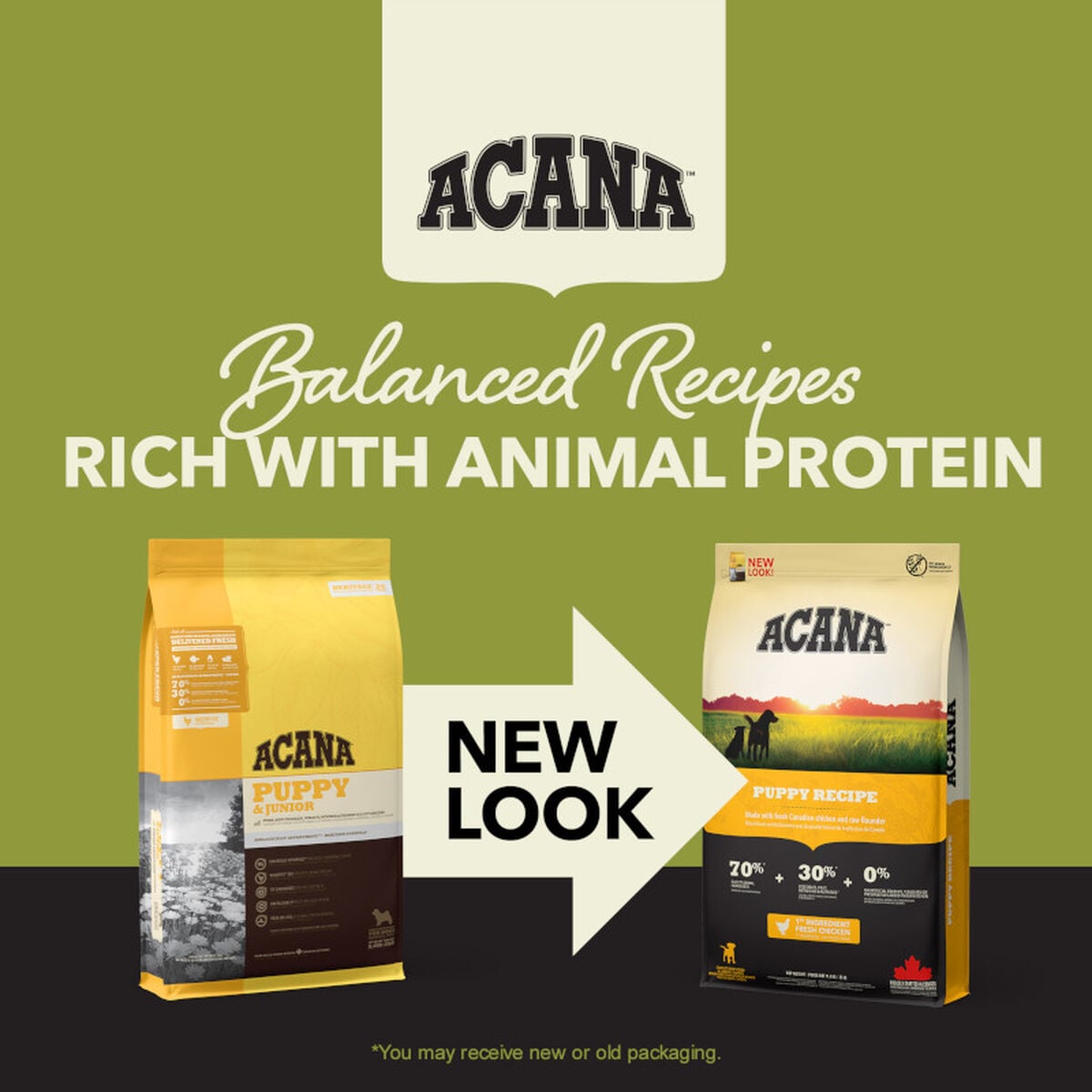 Puppy Recipe